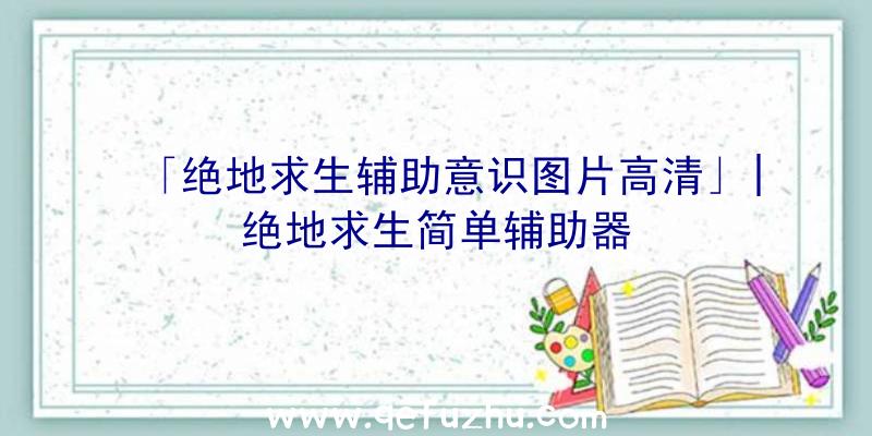 「绝地求生辅助意识图片高清」|绝地求生简单辅助器